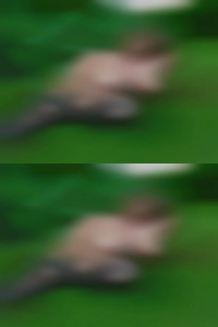 I love adult swinging cum on my couples face.