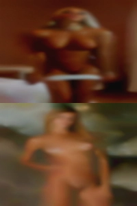 (if yes what had any been to swingers kind) 22.